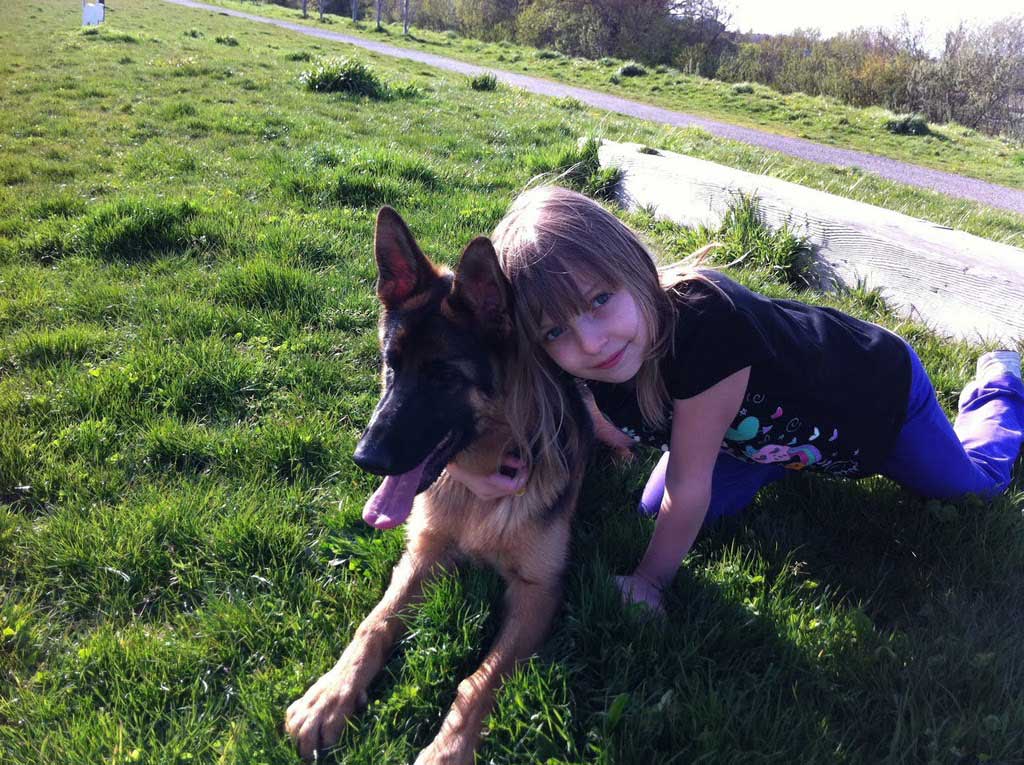 German Shepherd Dogs with Children