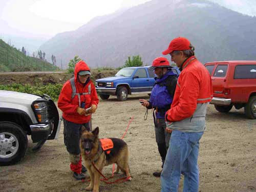 Service, Protection, Assitance, Therapy Dog