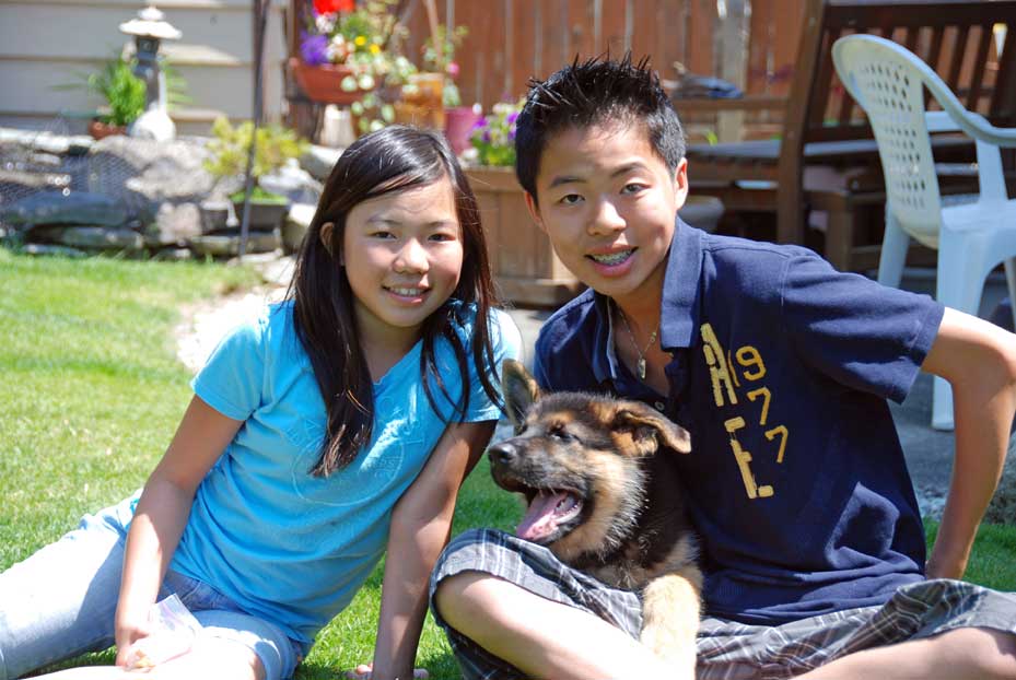 German Shepherd Dogs with Children